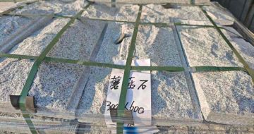 黄山芝麻白蘑菇石，自然面